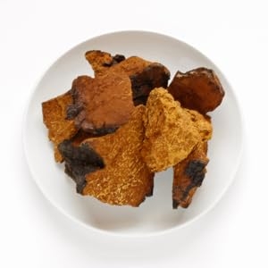 pure-chaga