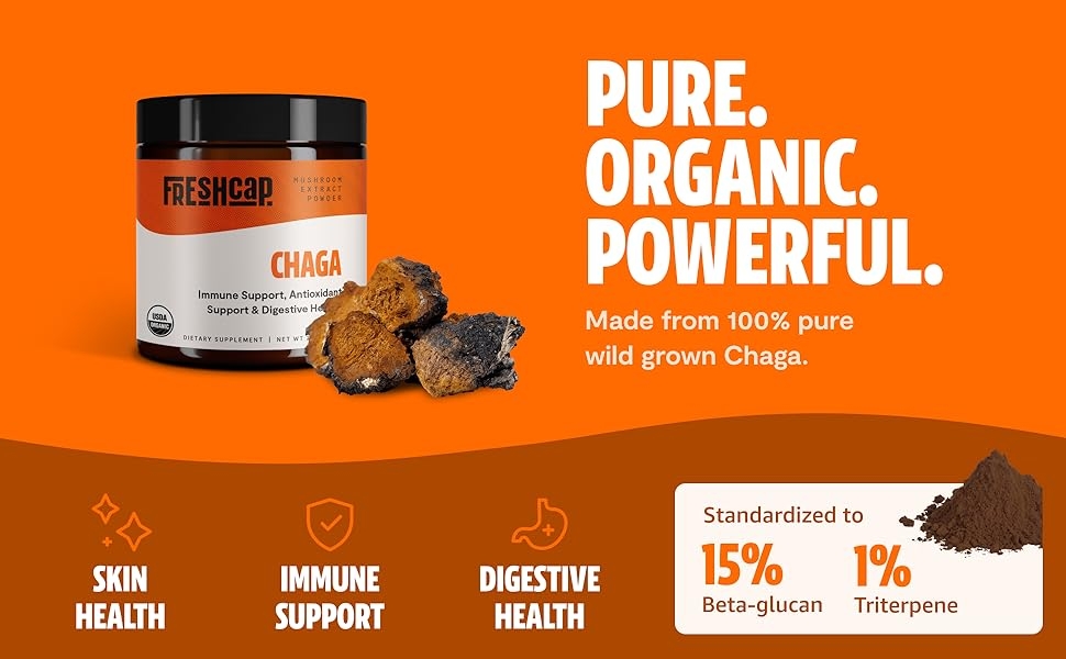Chaga-powder-overview