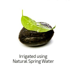 water