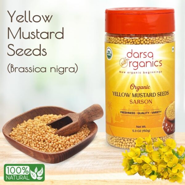 Darsa Organics Yellow Mustard Seeds 5.3 oz | Rai from India | USDA Organic | Kosher | Non-GMO Spices| Whole Spices & Herbs | Use