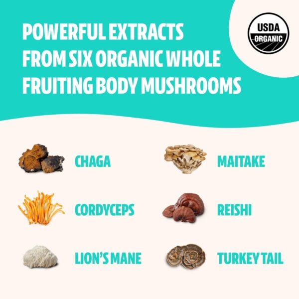 FreshCap Ultimate Mushroom Complex Powder – Lions Mane, Reishi, Cordyceps, Chaga, Turkey Tail, Maitake Supplements – for