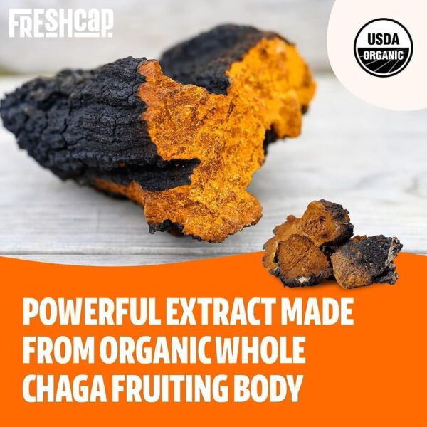 FreshCap Chaga Organic Mushrooms Extract Powder – Antioxidant, Digestive Health, Immune Support Supplement – Vegan, Pure