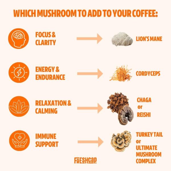 FreshCap Chaga Organic Mushrooms Extract Powder – Antioxidant, Digestive Health, Immune Support Supplement – Vegan, Pure