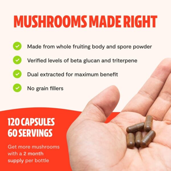 FreshCap Chaga Organic Mushrooms Extract Powder – Antioxidant, Digestive Health, Immune Support Supplement – Vegan, Pure