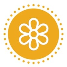 echinacea