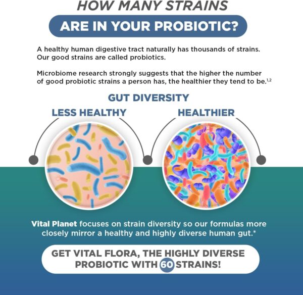 Vital Planet – Vital Flora Ultra Daily Probiotic 60 Billion CFU, Diverse Strains, Organic Prebiotics, Immune Support, Bloating Relief, Digestive Health Probiotics for Women and Men 60 Capsules