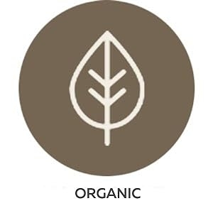 enhance immunity iq caffeine creative treatment beain mints smarter essentials choline low density