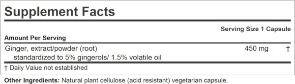 ANDREW LESSMAN Ginger 450-60 Capsules – Soothing Relief for Joints and Digestion. Pure, Natural, Powerful, Protective Properties. Anti-Aging and Anti-oxidant Properties. No Additives