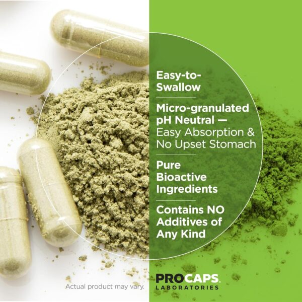 ANDREW LESSMAN Digest Assure 60 Capsules – Comprehensive Blend of Powerful Natural Enzymes to Support and Enhance Digestive Health, Vegetarian-Sourced Enzymes, Small Easy to Swallow Capsules
