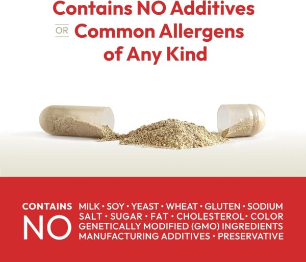 ANDREW LESSMAN Essential-1 Multivitamin 1000 IU Vitamin D3 30 Small Capsules – 100 mcg Methyl B12. CoQ10 Lutein Lycopene Zeaxanthin. High Potency. No Additives. Gentle Ultra-Mild. One Daily Capsule