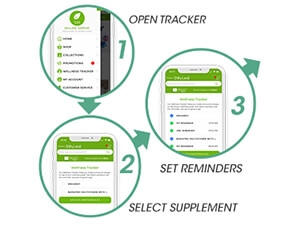 Wellness Tracker Step 1