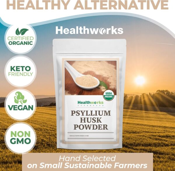 Healthworks Psyllium Husk Powder (16 Ounces / 1 Pound) | Raw | Certified Organic | Finely Ground Powder from India | Keto, Vegan & Non-GMO | Fiber Support