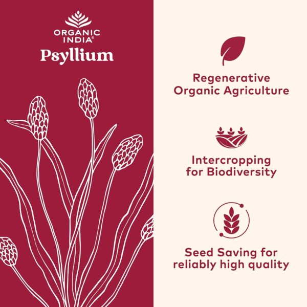 Organic India Psyllium Herbal Powder – Whole Husk Fiber, Healthy Elimination, Keto Friendly, Vegan, Gluten-Free, USDA Certified Organic, Non-GMO, Soluble & Insoluble Fiber Source – 12 oz Canister