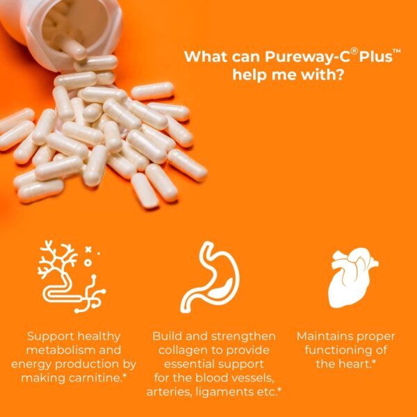 Jigsaw Health Pureway- C Plus | Vitamin C with L-Lysine and Quercetin | 120 Capsules