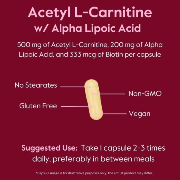 BESTVITE Acetyl L-Carnitine 500mg & Alpha Lipoic Acid 200mg per Capsule with Biotin (120 Vegetarian Capsules) – No Stearates – Vegan – Non GMO – Gluten Free