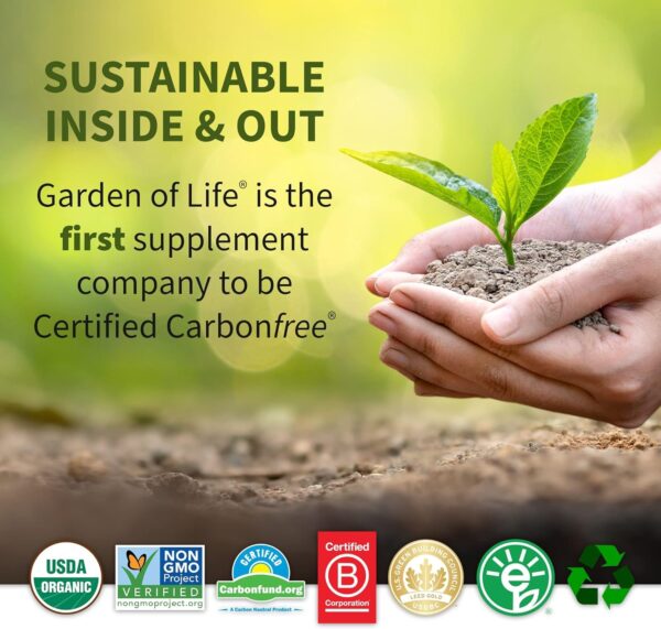 Garden of Life Raw Organic Protein & Greens – Chocolate – Vegan Protein Powder for Women and Men, Plant Protein, Pea Protein, Greens & Probiotics – Dairy Free, Gluten Free Low Carb Shake, 20 Servings