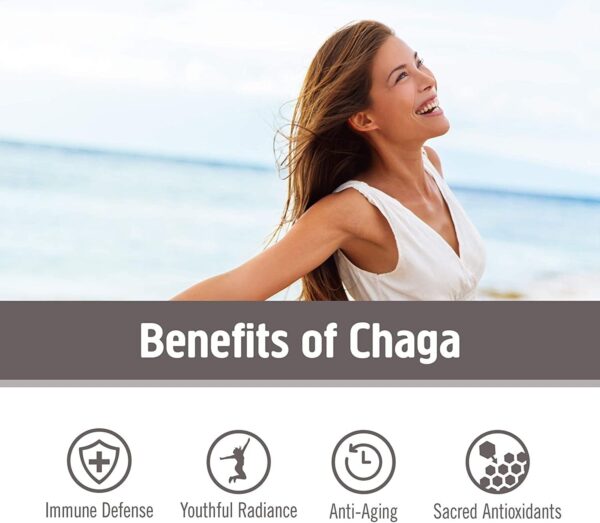 OM Mushroom Superfood Chaga Organic Mushroom Powder, 7.05 Ounce Pouch, 100 Servings, US Grown, Sacred Antioxidants & Immune Support, Superfood Mushroom Supplement