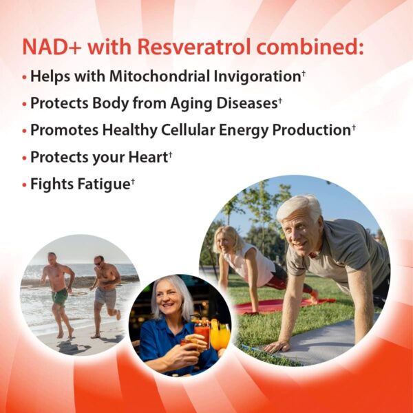 Aurora Nutrascience, Mega-Liposomal NAD+/Resveratrol, Gluten Free, Non-GMO, Sugar Free, Organic Fruit Flavor, 16 fl oz (480 mL)