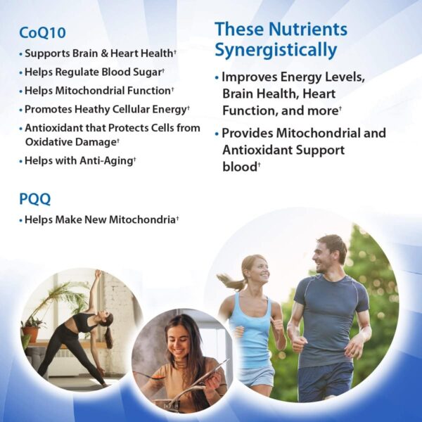 Aurora Nutrascience, Mega-Liposomal CoQ10/PQQ+ Vitamin C, Gluten Free, Non-GMO, Sugar Free, Organic Fruit Flavor, 16 fl oz (480 mL)
