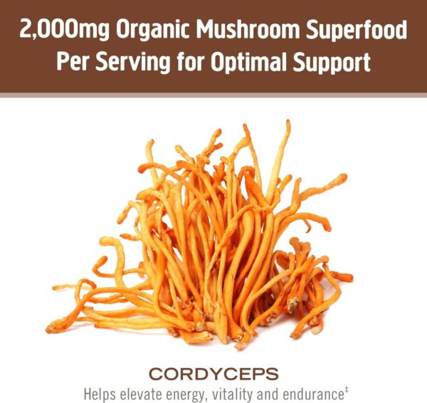 Om Organic Mushroom Superfood Powder, Cordyceps, 100 Servings, Energy and Endurance Support Supplement, 7.05 Ounce (Pack of 1)