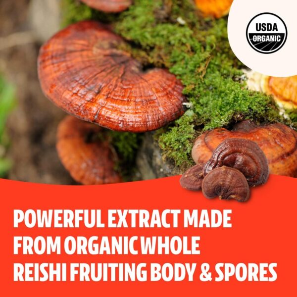 FreshCap Organic Turkey Tail Mushroom Extract Powder – USDA Organic -60 g- Supplement – Immune Protection – Add to