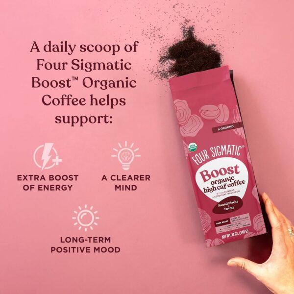 Four Sigmatic Calm Organic Decaf Ground Coffee | Swiss Water Decaf Coffee Ground | Decaffeinated Coffee with Chaga & Reishi