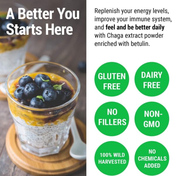 Sayan Chaga Mushroom Extract Powder (4oz) – Freeze Dried Siberian Wild Harvested – Organic Antioxidant Tea for Immune and