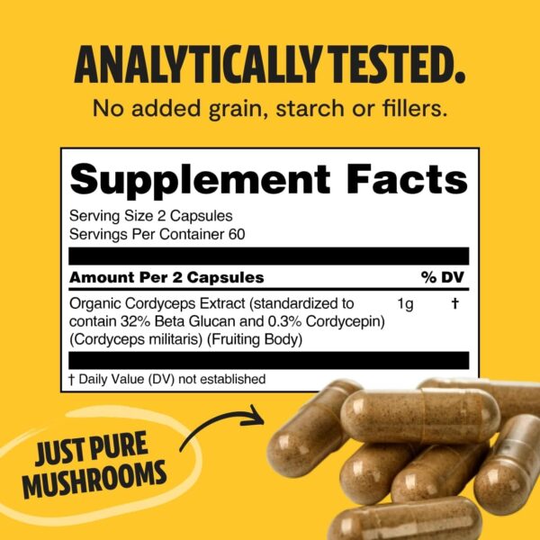 FreshCap Chaga Organic Mushrooms Extract Powder – Antioxidant, Digestive Health, Immune Support Supplement – Vegan, Pure