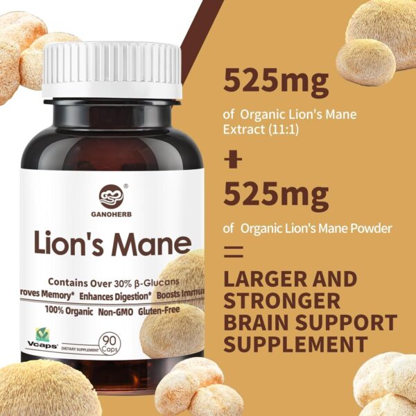 Organic Reishi Mushroom Capsules with 100% Ganoderma Lucidum Reishi Spore Powder for Boost Immune System, Vegan, All Natural,