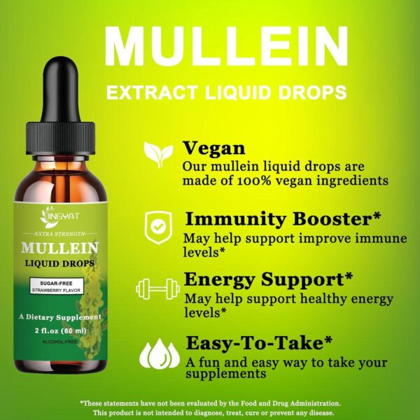 Extra Strength 2,000mg Mullein Drops for Lungs, Mullein Leaf Extract Supplement, Alcohol Free, High Absorption, Powerful and