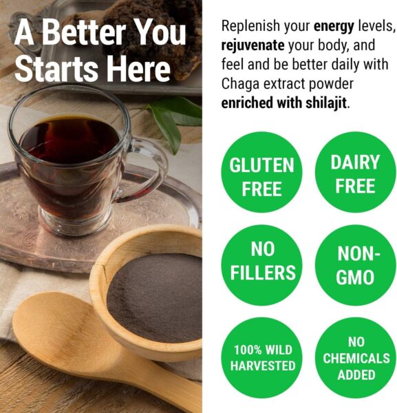Sayan Chaga Mushroom Extract Powder (4oz) – Freeze Dried Siberian Wild Harvested – Organic Antioxidant Tea for Immune and