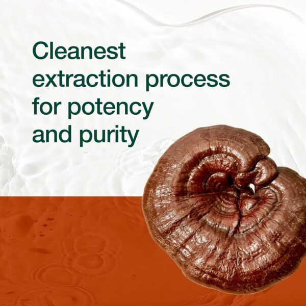 Organic Reishi Mushroom Capsules – Rich in Alpha Glucan – Ganoderma Lucidum & Ganoderma Applanatim – Third Party Tested – 90