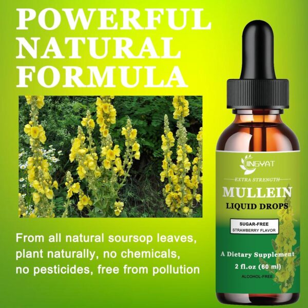 Extra Strength 2,000mg Mullein Drops for Lungs, Mullein Leaf Extract Supplement, Alcohol Free, High Absorption, Powerful and