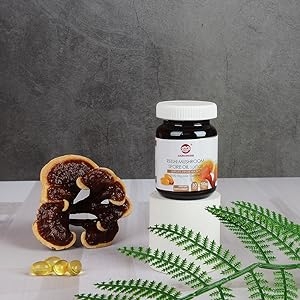 reishi oil