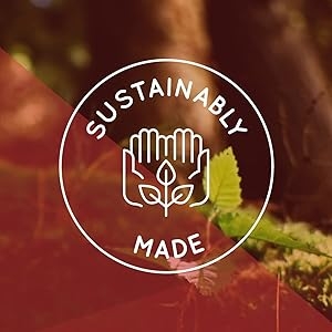Sustainably Made Healthy Mushroom Extracts Clean Real Food Nutrition All Natural Wild Foods Balance