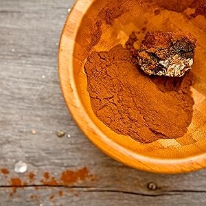 Organic chaga extract